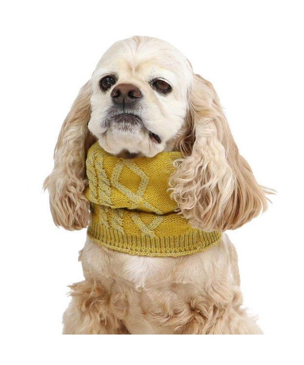 PET PARADISE ペットパラダイス 反射スヌード 《イエロー》 中型犬 大型犬 イエロー