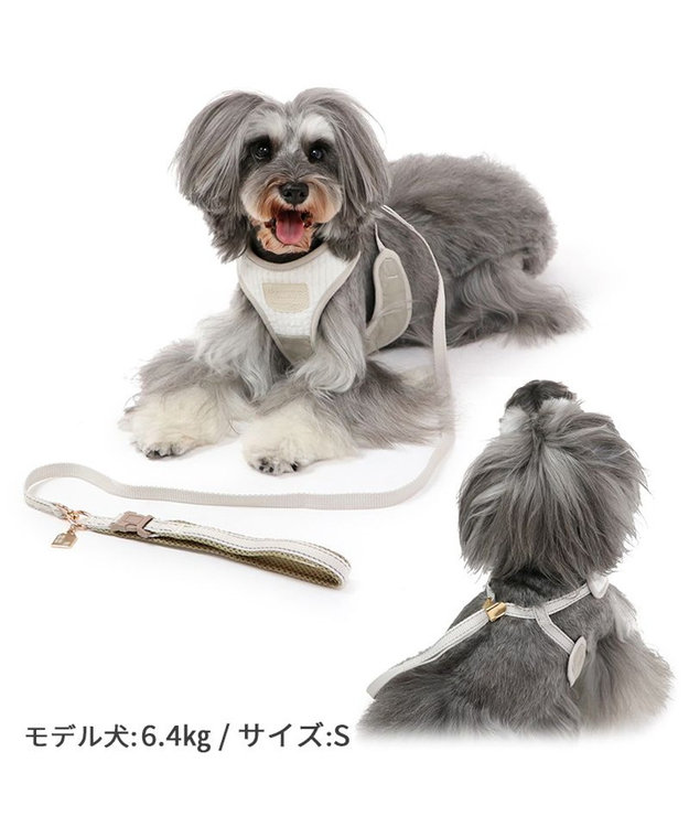 シンプル リード付きハーネス 【3S】 / PET PARADISE | 【通販