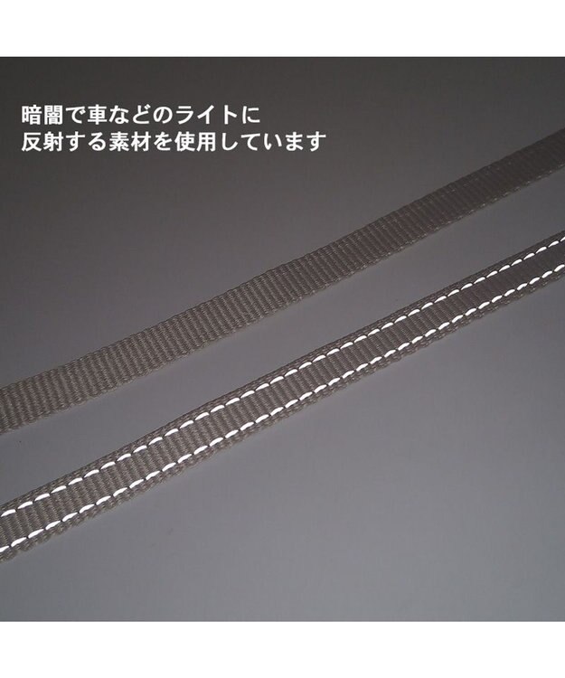 PET PARADISE シンプル リード付きハーネス 【３Ｓ】 ベージュ