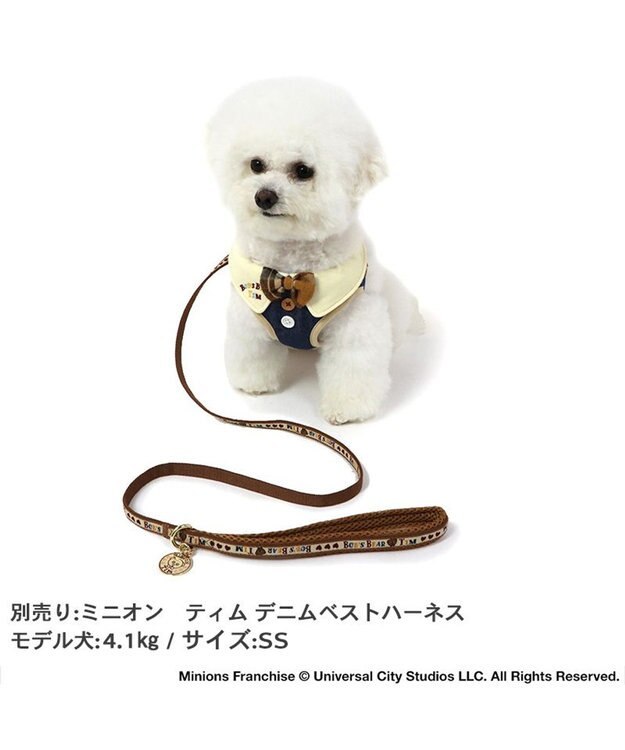 PET PARADISE ミニオン ティム リード 【４Ｓ~３Ｓ】 レトロ柄 小型犬 茶系