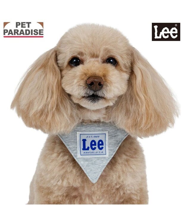 PET PARADISE Lee 両面バンダナ 首輪 Ｓ グレー