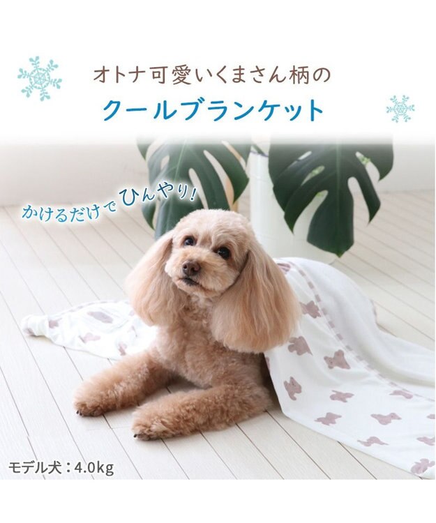 PET PARADISE ペットパラダイス くまちゃん クールブランケット (90×60cm) ベージュ