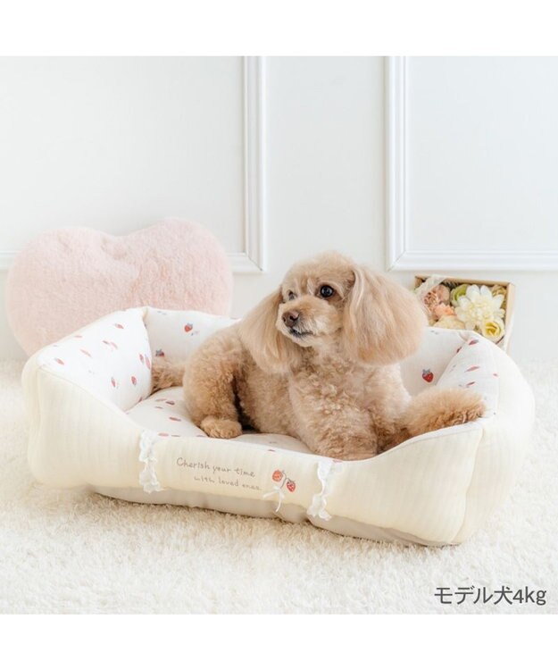 PET PARADISE ペットパラダイス カドラー 《花苺柄》 Ｍ ホワイト×レッド