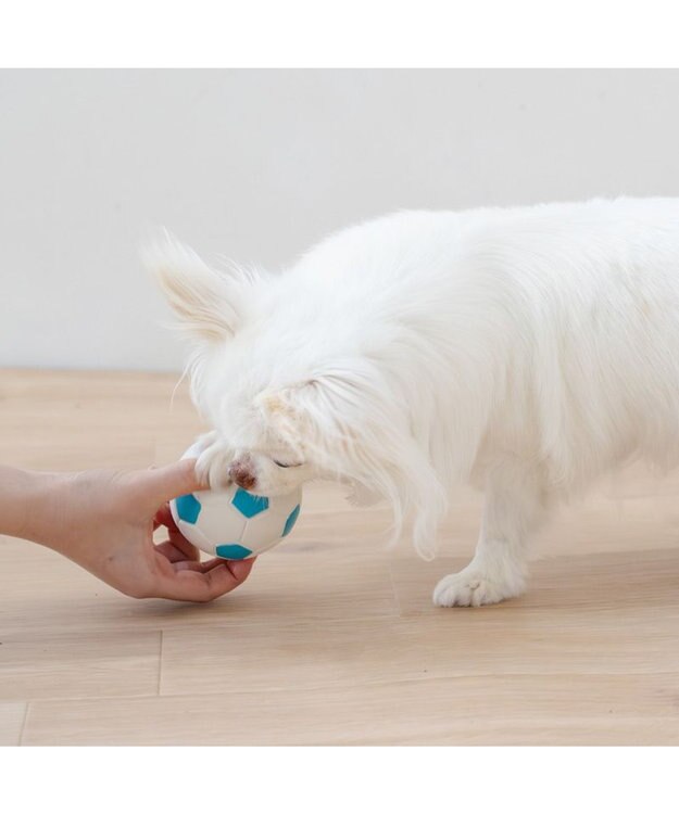 PET PARADISE ペットパラダイス サッカーボール 小 ホワイト