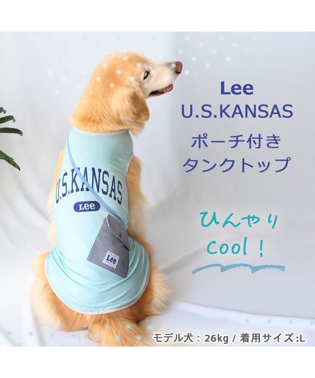 PET PARADISE Leeポーチ ブルー Tシャツ 【中型犬】【大型犬】クールマックスエコメイド 青