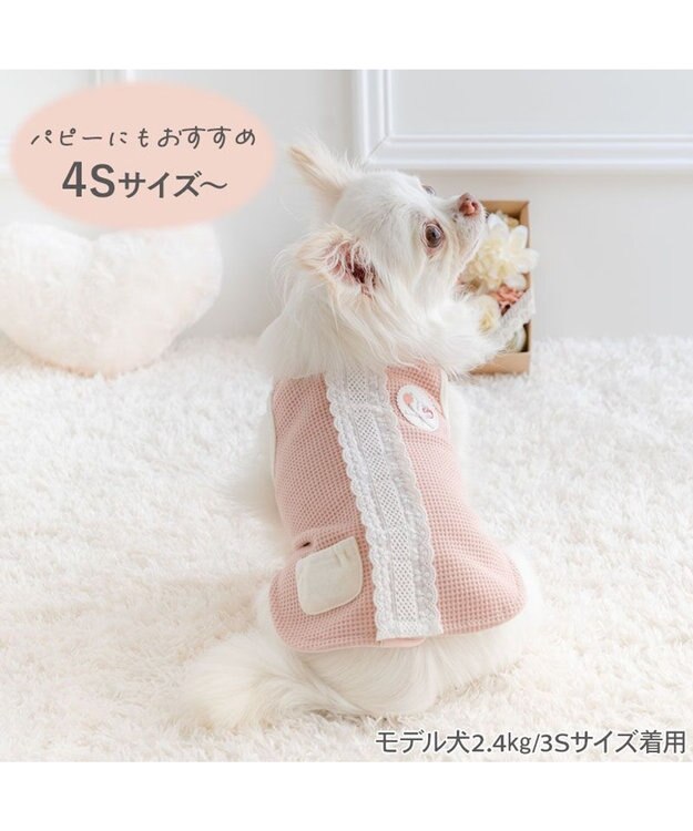 PET PARADISE ペットパラダイス やさしい ベスト 《花苺》 小型犬 ピンク