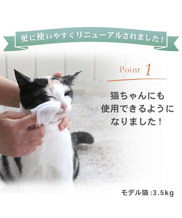 PET PARADISE ペットパラダイス ペット用 涙やけ クリーン シート （60枚入） -
