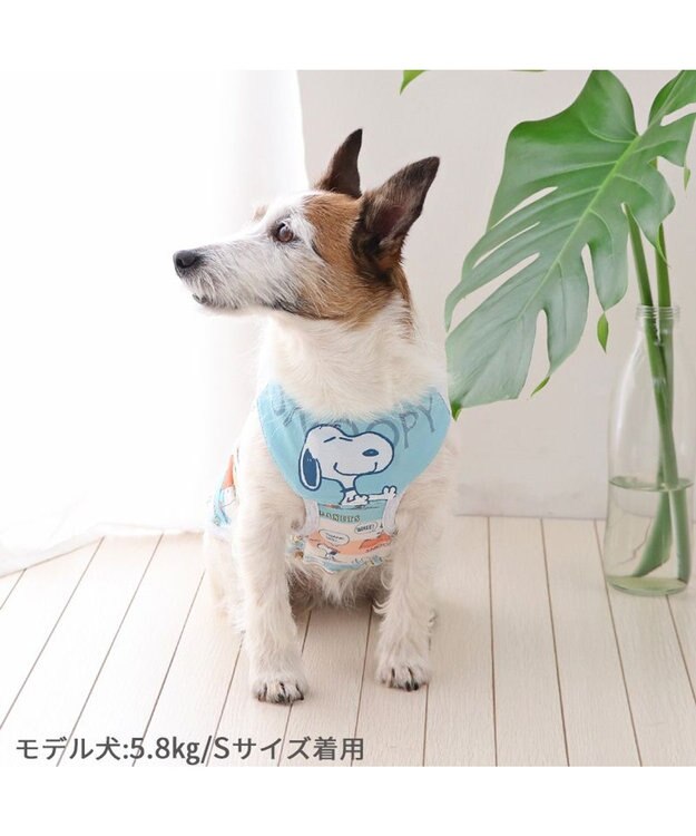 いぬズ hq6028-product-img1.jpg
