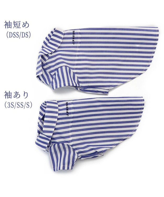 PET PARADISE 犬の服 犬 J.PRESS ストライプシャツ  【小型犬】 青