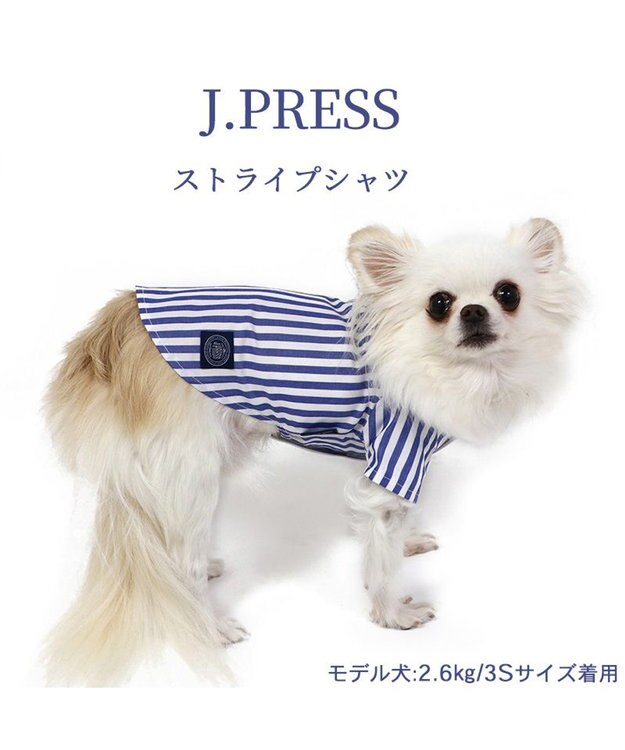 PET PARADISE 犬の服 犬 J.PRESS ストライプシャツ  【小型犬】 青