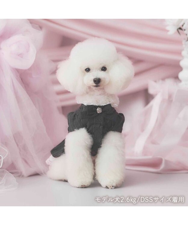 PET PARADISE cherircouture ジャケットワンピース 小型犬 ブラック