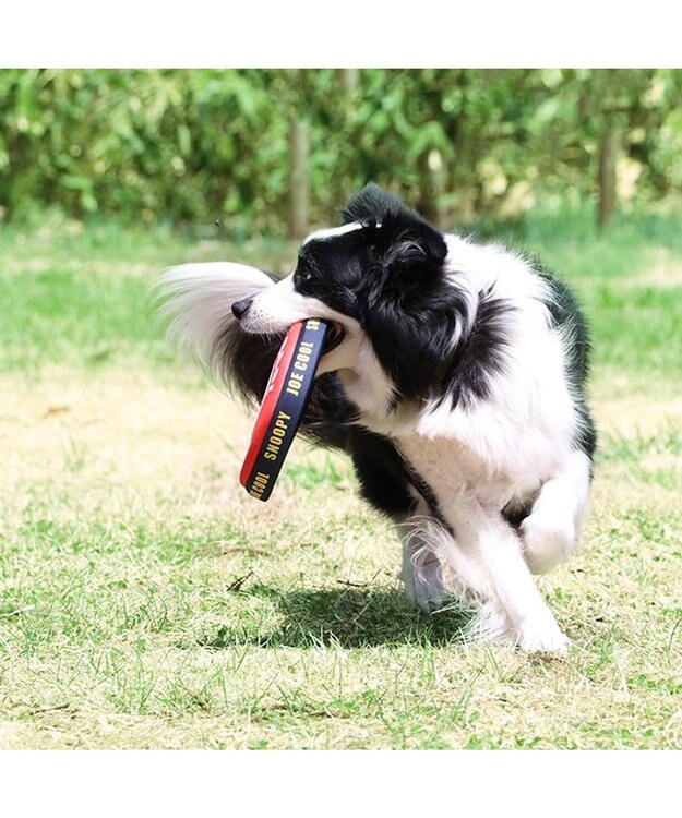 PET PARADISE 犬 おもちゃ スヌーピー フライングディスク M (直径22cm） 赤