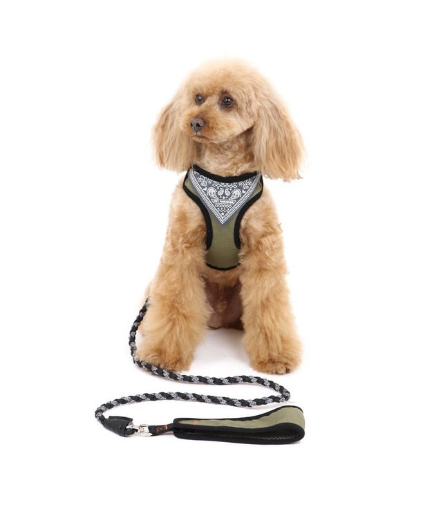 犬 ハーネス リード ハーネスリード ｓ 小型犬 編み紐リード 小型犬 おさんぽ おでかけ お出掛け おしゃれ オシャレ かわいい Pet Paradise 通販 雑貨とペット用品の通販サイト マザーガーデン ペットパラダイス