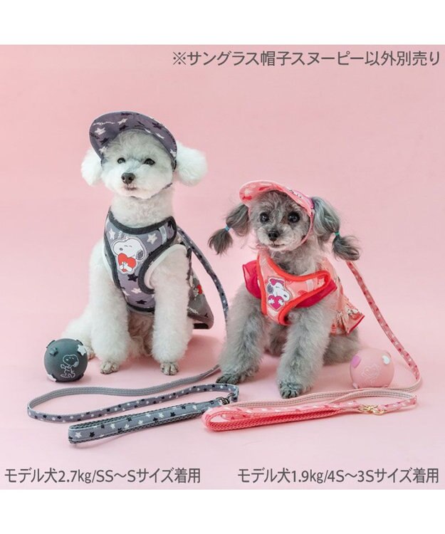 PET PARADISE スヌーピー サングラス帽子 《スヌーピー》 ４Ｓ～３Ｓ/ＳＳ～Ｓ グレー