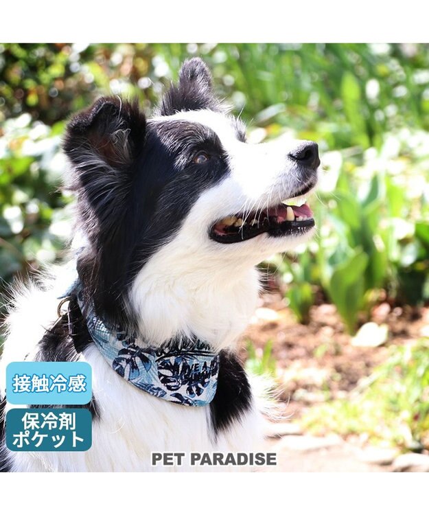 PET PARADISE クールネック バンダナ《 ボタニカル/ しろくま/シフォン襟》 保冷剤付き 【中型犬】【大型犬】 ボタニカル