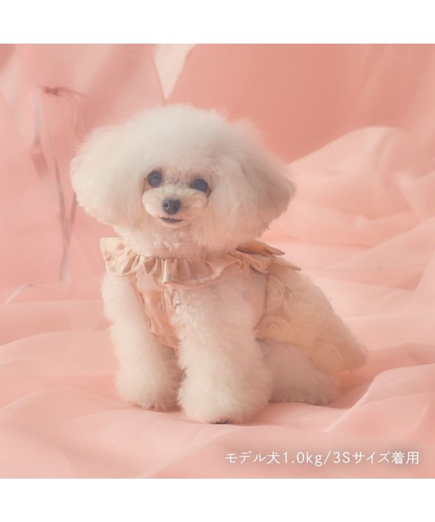 PET PARADISE cherircouture ローズチュールワンピース 《ピンク》 小型犬 ピンク