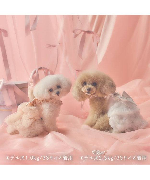 cherircouture ローズチュールワンピース 《ピンク》 小型犬