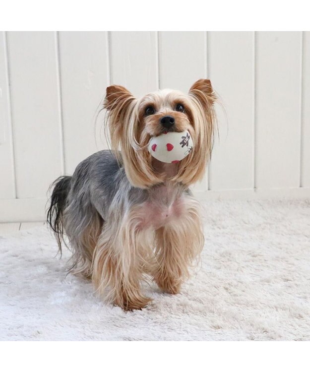 PET PARADISE リサとガスパール ラテックス トイ 《ハート柄》 ハート柄