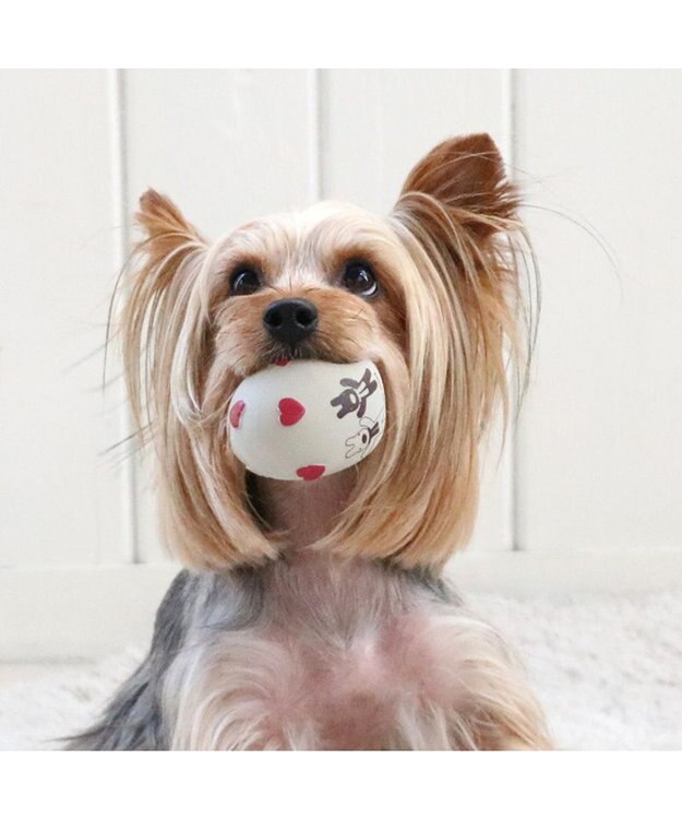 PET PARADISE リサとガスパール ラテックス トイ 《ハート柄》 ハート柄