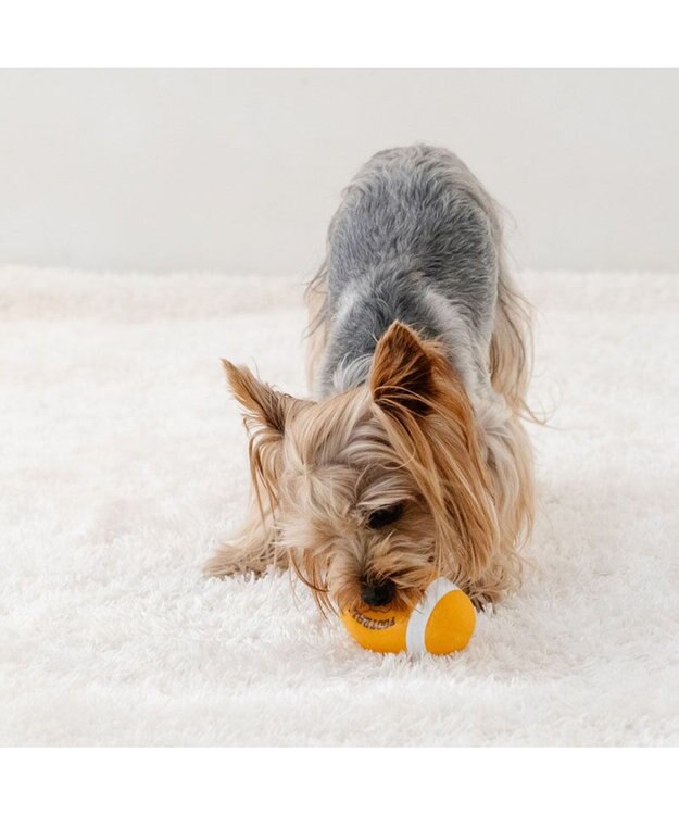 PET PARADISE スヌーピー ラグビー ラテックス トイ オレンジ