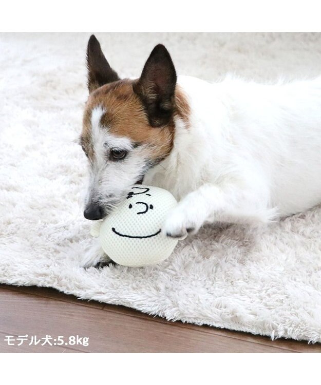 PET PARADISE スヌーピー 犬用おもちゃ デンタル フェイス チャーリーブラウン ベージュ
