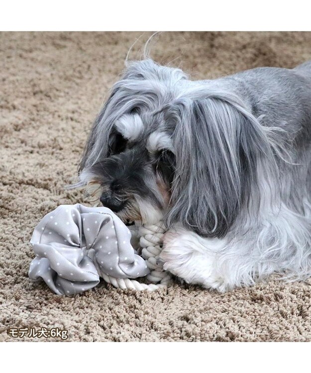 PET PARADISE ペットパラダイス 引っ張り シュシュ トイ  《 花柄 / ドット柄 》 水玉