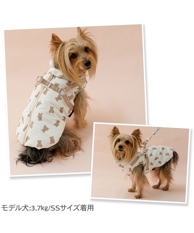 PET PARADISE ペットパラダイス くまちゃん アウターハーネス 小型犬 オフホワイト