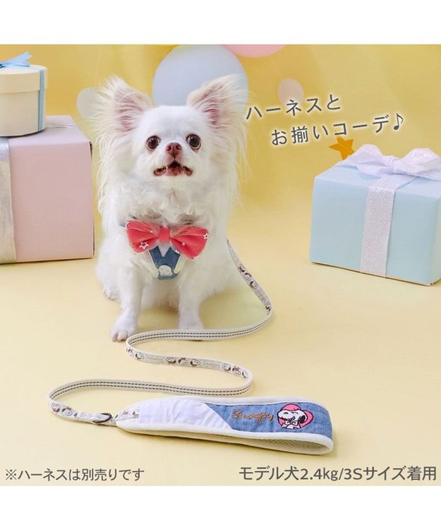 PET PARADISE スヌーピー バースデー リード 4S~3S ホワイト