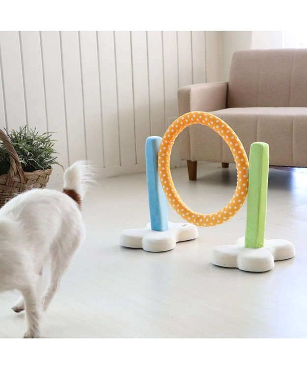 PET PARADISE 犬 トイ TOY ペットパラダイス アジリティ セット 訓練 ドッグアジリティ トレーニング マルチカラー