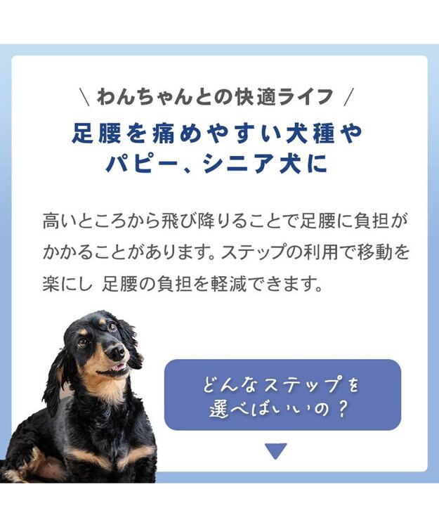 PET PARADISE スヌーピー デニム風ステップ 2段 ネイビー