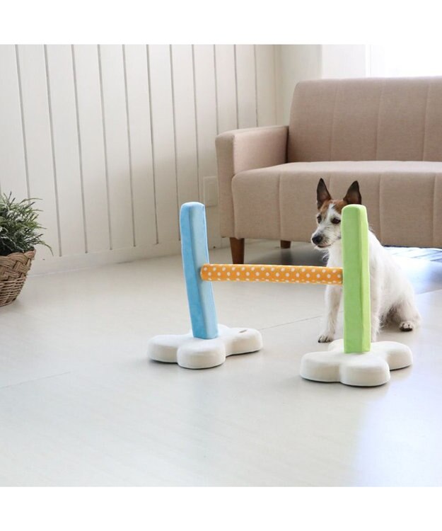 PET PARADISE 犬 トイ TOY ペットパラダイス アジリティ セット 訓練 ドッグアジリティ トレーニング マルチカラー