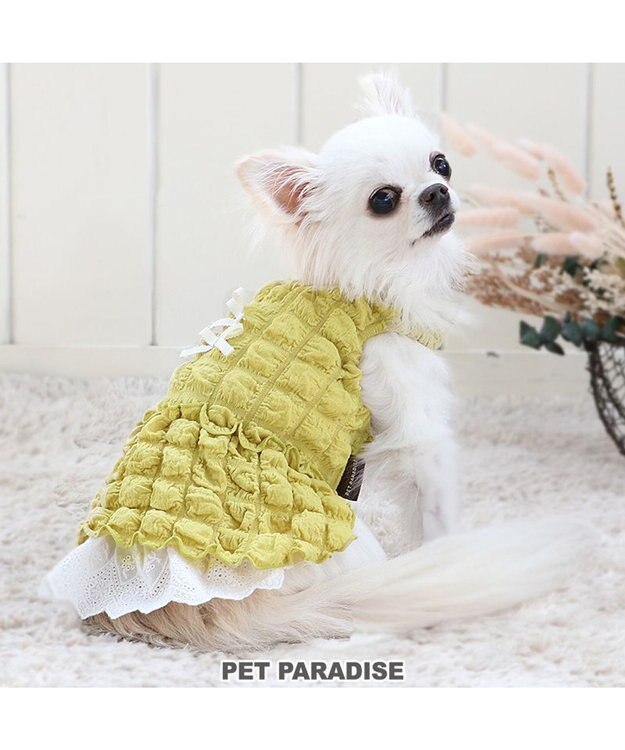 PET PARADISE ペットパラダイス ぽこぽこ ワンピース 《イエロー》 小型犬 イエロー