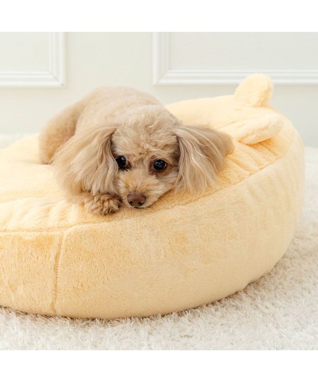 PET PARADISE ディズニー くまのプーさん ふんわり クッション イエロー