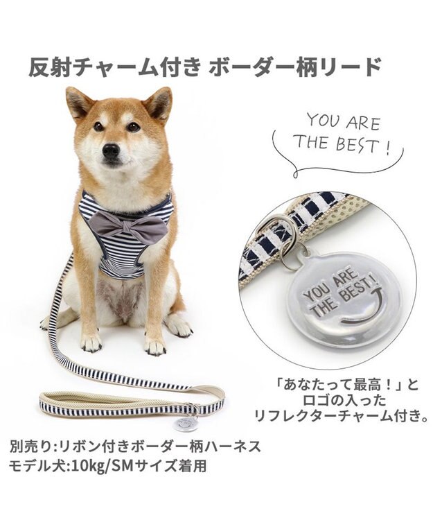 PET PARADISE 犬 リード 【ＳＭ】 ボーダー 紺（ネイビー・インディゴ）