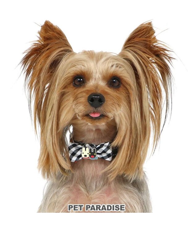 PET PARADISE リサとガスパール おしゃれ反射首輪 《ギンガムチェック》３Ｓ 無彩色