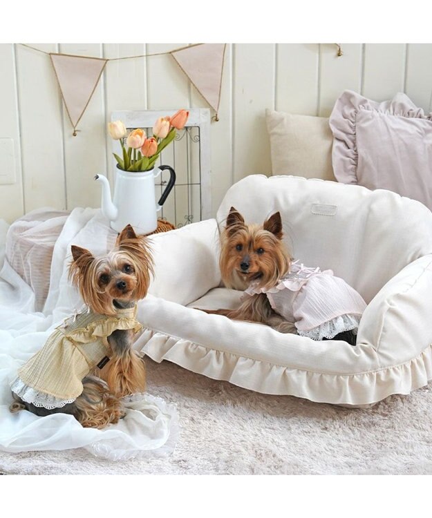 PET PARADISE ペットパラダイス スプリング ワンピース 《イエロー》 超小型犬 小型犬 イエロー