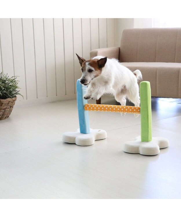 PET PARADISE 犬 トイ TOY ペットパラダイス アジリティ セット 訓練 ドッグアジリティ トレーニング マルチカラー