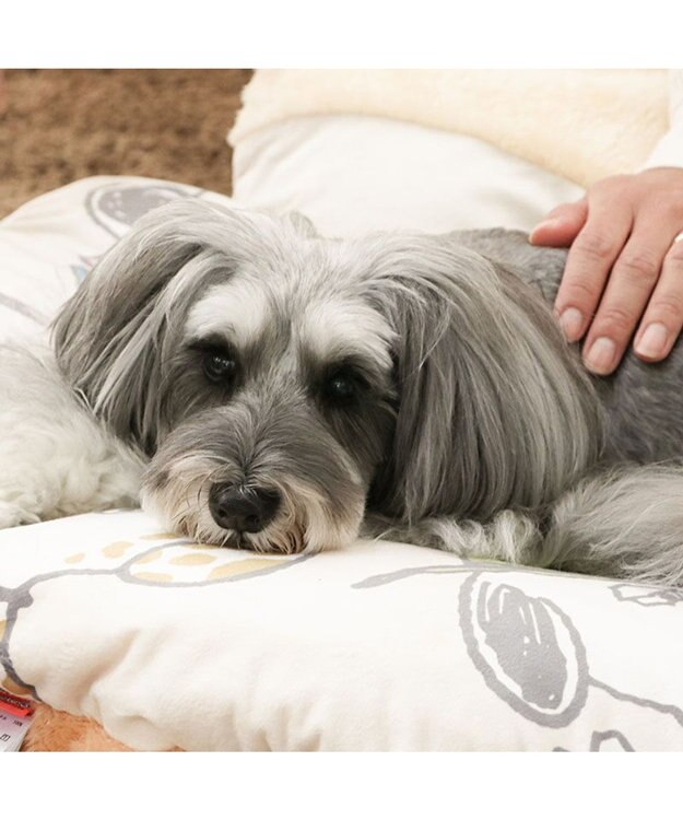 PET PARADISE スヌーピー 遠赤外線 くつろぎマット 《兄弟柄》 Ｍ ベージュ