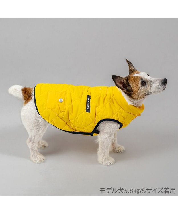 PET PARADISE J.PRESS ダイヤＳＴ 綿入ベスト 《イエロー》 小型犬 イエロー