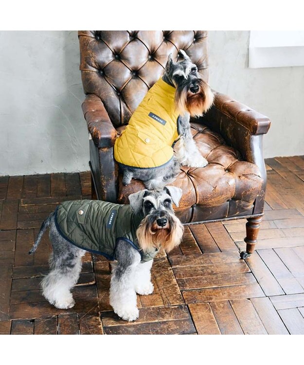 PET PARADISE J.PRESS ダイヤＳＴ 綿入ベスト 《イエロー》 小型犬 イエロー