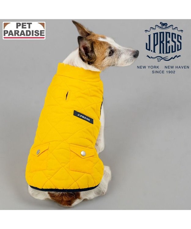 PET PARADISE J.PRESS ダイヤＳＴ 綿入ベスト 《イエロー》 小型犬 イエロー