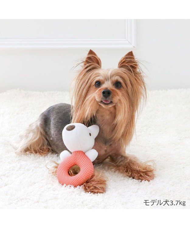 PET PARADISE リサとガスパール リサ わっか トイ ピンク