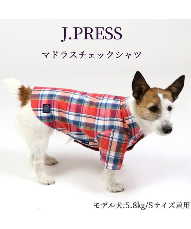 PET PARADISE 犬の服 犬 シャツ J.PRESS 【小型犬】 赤 チェック 赤