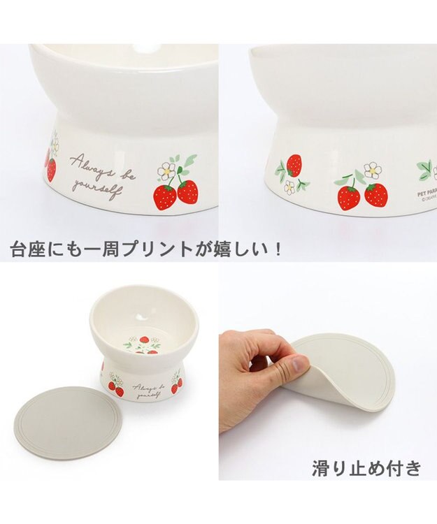 PET PARADISE 高さのある フードボウル《いちご柄 / くま柄》  陶器 いちご