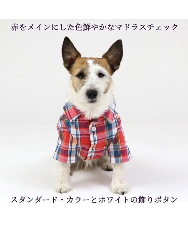 PET PARADISE 犬の服 犬 シャツ J.PRESS 【小型犬】 赤 チェック 赤