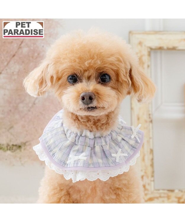 PET PARADISE ペットパラダイス チェック柄 スタイ 《パープル》 小型犬 パープル
