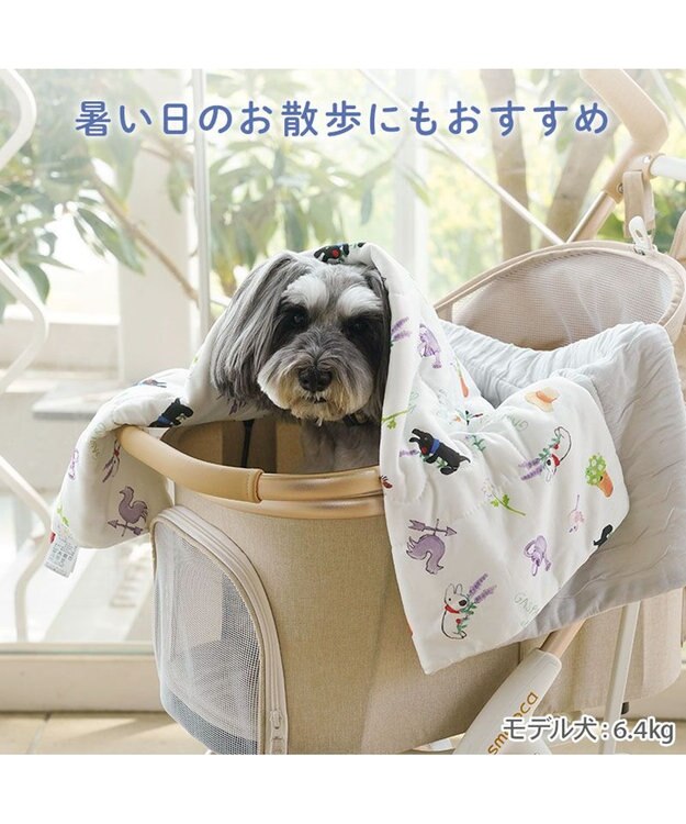 PET PARADISE リサとガスパール もちっと クール ブランケット ホワイト