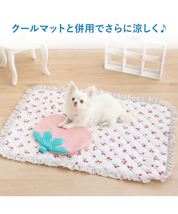PET PARADISE ペットパラダイス クール枕 《苺》 ピンク