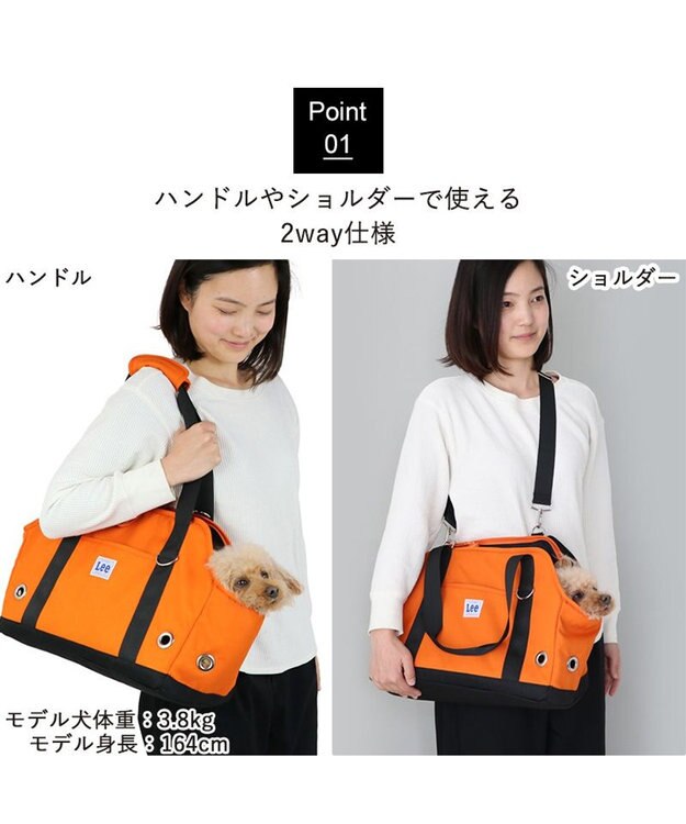 PET PARADISE Ｌｅｅ アウトドアキャリーバッグ  四角 【小型犬】 オレンジ