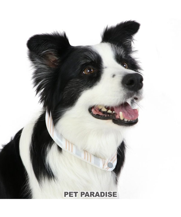 PET PARADISE クールリング 犬 クールネック ひんやり 28℃クールリング 【M】 リフレクター 水色 ベージュ 反射材付き ベージュ M